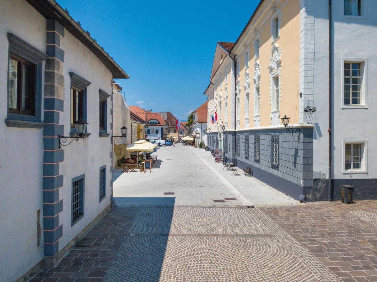 Vila Radolca Apartments & Rooms Radovljica Εξωτερικό φωτογραφία