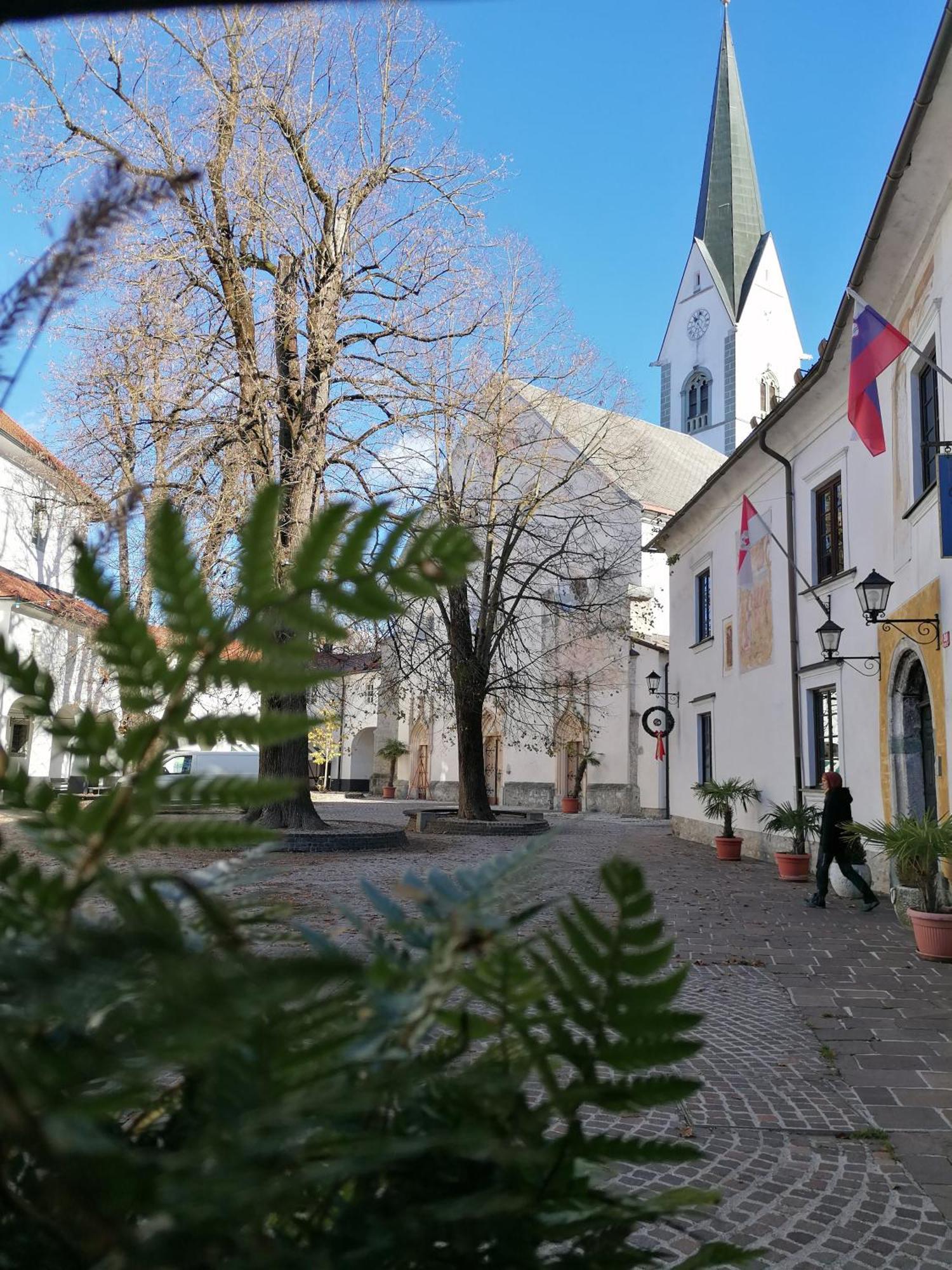 Vila Radolca Apartments & Rooms Radovljica Εξωτερικό φωτογραφία